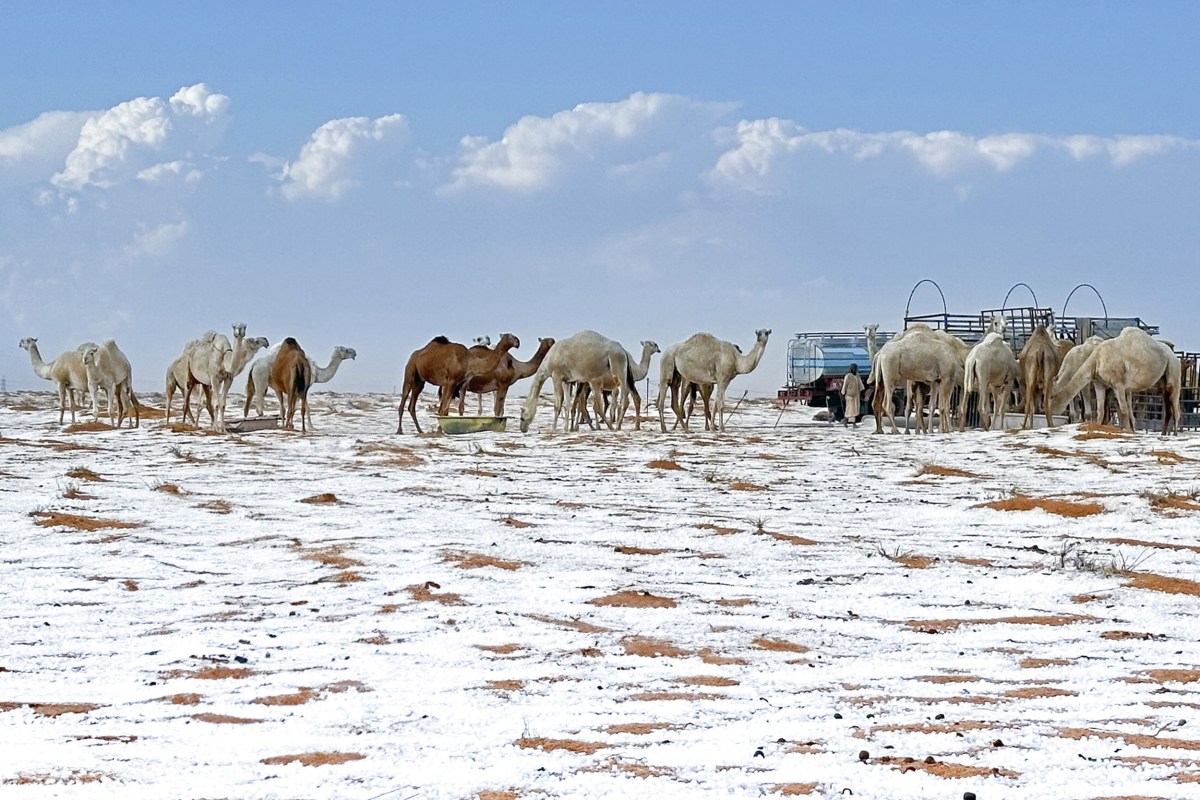 Saudi Arabian Desert&rsquo;s First Ever Snowfall Shown in Photos